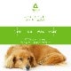 �ڥ�ӥ塼�ץ쥼������Air Ade �ڥå��� 300ml��AN-AAP��