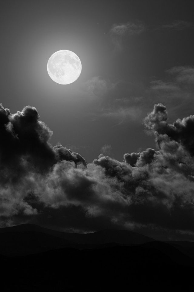 秋ブレンド「月白」100g