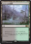�����ۥ�Υ��ιӸ�/Llanowar Wastes[����R]��M15��