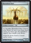 �ڱѡۤĤ�䤫��ͺ��/Burnished Hart[̵��U]��THS��