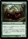 ۶ʥ٥/Obstinate Baloth[R]M11