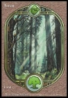 SALEڱѡۿ/Forest[C]UGL