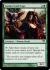 �ڱѡۥ���С����ɤθ���/Somberwald Sage[��R]��AVR��