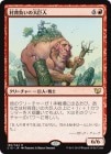 SALE¼餤/Hamletback Goliath[R]C15