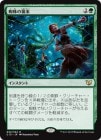 ����������ν���/Arachnogenesis[��R]��C15��