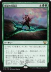 SALEۿФιή/Verdant Confluence[R]C15