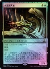 FOILۡۼ/Dimensional Infiltrator[R]OGW