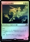 SALEFOILۡۥɥ饰εʼ/Drogskol Cavalry[R]SOI