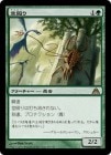 ۶/Skylasher[R]DGM