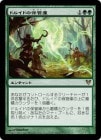 �����ۥɥ륤�ɤ��ݴɸ�/Druids' Repository[��R]��AVR��