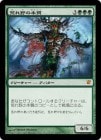 �����۹Ӥ�����ܼ�/Essence of the Wild[��MR]��ISD��