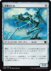 �����۶�°������/Frogmite[̵��C]��MM2��