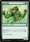 ����������������/Scion of the Wild[��C]��MM2��