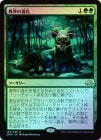 ��FOIL�ۡ����۰۳��οʲ�/Eldritch Evolution[��R]��EMN��