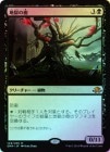 ��FOIL�ۡ������Ϲ��μ�/Tree of Perdition[��MR]��EMN��