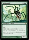 �����۸���������/Silklash Spider[��R]��C13��
