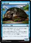 ������ж�ʤ��뵵/Thriving Turtle[��C]��KLD��