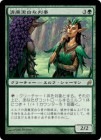 ���ݥ����10��Ը�������������������Ƚ��/Immaculate Magistrate[��R]��LRW��