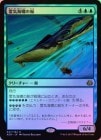 SALEFOILۡη/Aethertide Whale[R]AER