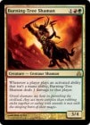 �ڱѡ۱��²�Υ��㡼�ޥ�/Burning-Tree Shaman[��R]��GPT��