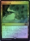 ��FOIL�ۡ����ۥ������������/Sliver Hive[����R]��M15��
