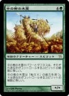 ��������μ�������/Kodama of the Center Tree[��R]��BOK��