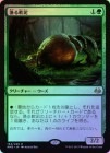 ��FOIL�ۡ����۵�����ť/Scavenging Ooze[��R]��MM3��