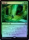 ��FOIL�ۡ����۾������/Summoning Trap[��R]��MM3��