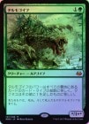 ��FOIL�ۡ����ۥ���⥴����/Tarmogoyf[��MR]��MM3��