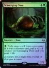 ��FOIL�ۡڱѡ۵�����ť/Scavenging Ooze[��R]��MM3��