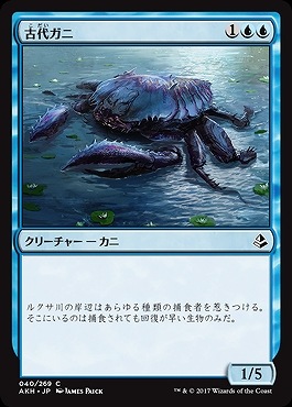 MTG 遺跡ガニ アーティストプルーフ プロモ MTG 遺跡ガニ アーティストプルーフ プロモ 0295.jpg