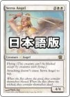 �����ۥ����ŷ��/Serra Angel[��R]��8E�ġ�