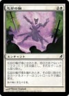 ������˺�Ѥ���/Oblivion Ring[��C]��LRW��