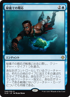 �������뵷�Ǥν��/Arcane Adaptation[��R]��XLN��