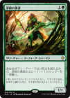 �����ۿ�����ͦ��/Deeproot Champion[��R]��XLN��