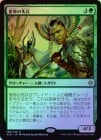 ��FOIL�ۡ����۹������ʼ/Emperor's Vanguard[��R]��XLN��