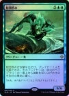 FOILۡݤ/Fleet Swallower[R]XLN