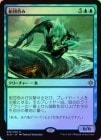 FOILۡݤ/Fleet Swallower[R]XLN