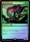 ��FOIL�ۡ������ڤ������ܤ���ε/Ripjaw Raptor[��R]��XLN��