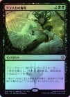 FOILۡۥ饹/Vraska's Contempt[R]XLN