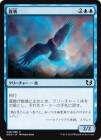 SALE̸/Mist Raven[C]DDQ