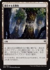�����ۿʲ�����̤����/Evolving Wilds[��C]��DDP��
