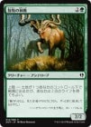 ���������Ҥ��Ӽ�/Grazing Gladehart[��C]��DDP��