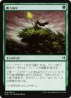 �������Ϥ��ͤ�/Groundswell[��C]��DDP��