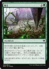 �����ۺ���/Harrow[��C]��DDP��