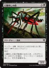 �����ۿ�¡�ɤ��β�/Heartstabber Mosquito[��C]��DDP��
