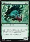 ���������ϤΥ٥�����/Territorial Baloth[��C]��DDP��
