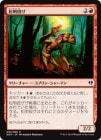 �����۾����ꤲ/Torch Slinger[��C]��DDP��
