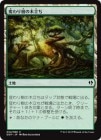 �������Ѥ�������Ω��/Turntimber Grove[����C]��DDP��