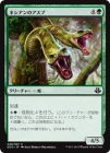 �����ۥͥ�����Υ�����/Nessian Asp[��U]��DDO��